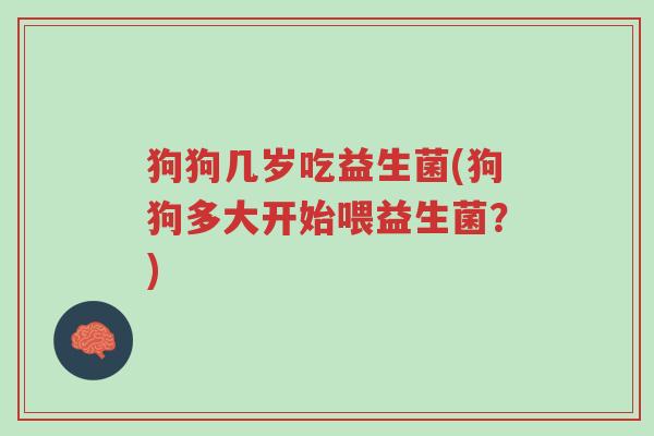 狗狗几岁吃益生菌(狗狗多大开始喂益生菌?)-第1张图片-超越 狗狗几岁吃益生菌(狗狗多大开始喂益生菌?)-第1张图片-超越