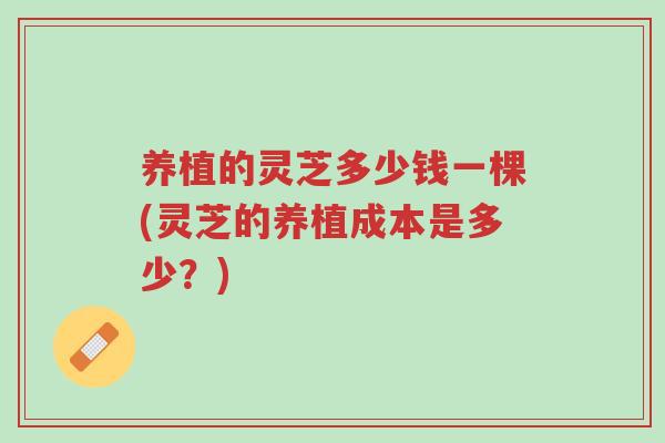 养植的灵芝多少钱一棵(灵芝的养植成本是多少?)-第1张图片-超越 养植的灵芝多少钱一棵(灵芝的养植成本是多少?)-第1张图片-超越