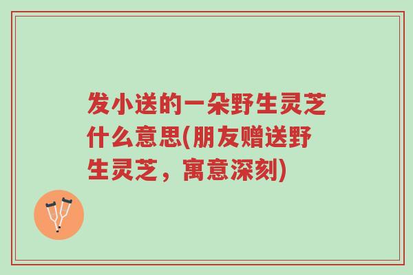 发小送的一朵野生灵芝什么意思(朋友赠送野生灵芝,寓意深刻)-第1张图片-超越 发小送的一朵野生灵芝什么意思(朋友赠送野生灵芝,寓意深刻)-第1张图片-超越