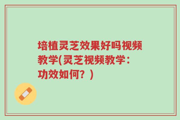 培植灵芝效果好吗视频教学(灵芝视频教学:功效如何?)-第1张图片-超越 培植灵芝效果好吗视频教学(灵芝视频教学:功效如何?)-第1张图片-超越