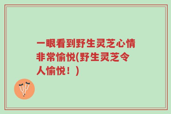 一眼看到野生灵芝心情非常愉悦(野生灵芝令人愉悦!)-第1张图片-超越 一眼看到野生灵芝心情非常愉悦(野生灵芝令人愉悦!)-第1张图片-超越
