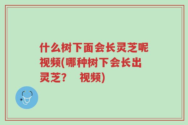 什么树下面会长灵芝呢视频(哪种树下会长出灵芝? 视频)-第1张图片-超越 什么树下面会长灵芝呢视频(哪种树下会长出灵芝? 视频)-第1张图片-超越
