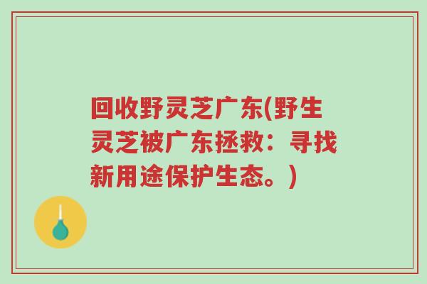 回收野灵芝广东(野生灵芝被广东拯救:寻找新用途保护生态。)-第1张图片-超越 回收野灵芝广东(野生灵芝被广东拯救:寻找新用途保护生态。)-第1张图片-超越