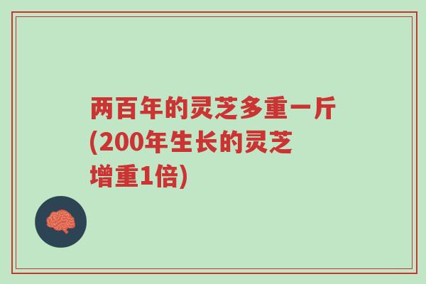两百年的灵芝多重一斤(200年生长的灵芝增重1倍)-第1张图片-超越 两百年的灵芝多重一斤(200年生长的灵芝增重1倍)-第1张图片-超越