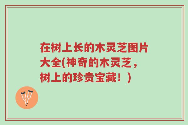 在树上长的木灵芝图片大全(神奇的木灵芝，树上的珍贵宝藏！)-第1张图片-超越
