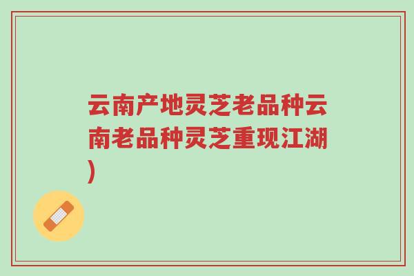 云南产地灵芝老品种云南老品种灵芝重现江湖)-第1张图片-超越 云南产地灵芝老品种云南老品种灵芝重现江湖)-第1张图片-超越