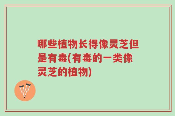 哪些植物长得像灵芝但是有毒(有毒的一类像灵芝的植物)-第1张图片-超越