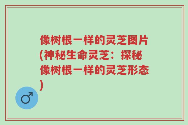 像树根一样的灵芝图片(神秘生命灵芝:探秘像树根一样的灵芝形态)-第1张图片-超越 像树根一样的灵芝图片(神秘生命灵芝:探秘像树根一样的灵芝形态)-第1张图片-超越