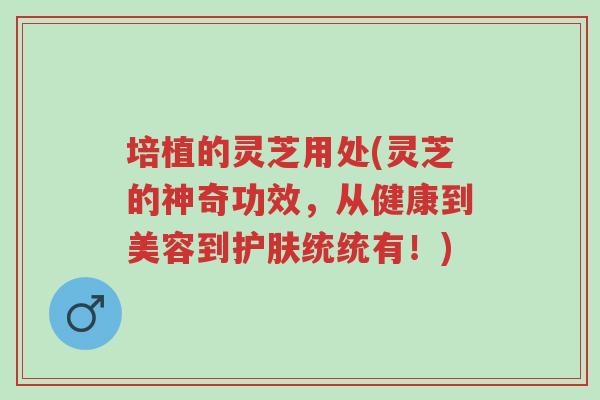 培植的灵芝用处(灵芝的神奇功效,从健康到美容到护肤统统有!)-第1张图片-超越 培植的灵芝用处(灵芝的神奇功效,从健康到美容到护肤统统有!)-第1张图片-超越