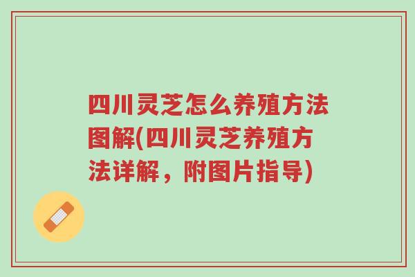 四川灵芝怎么养殖方法图解(四川灵芝养殖方法详解，附图片指导)-第1张图片-超越