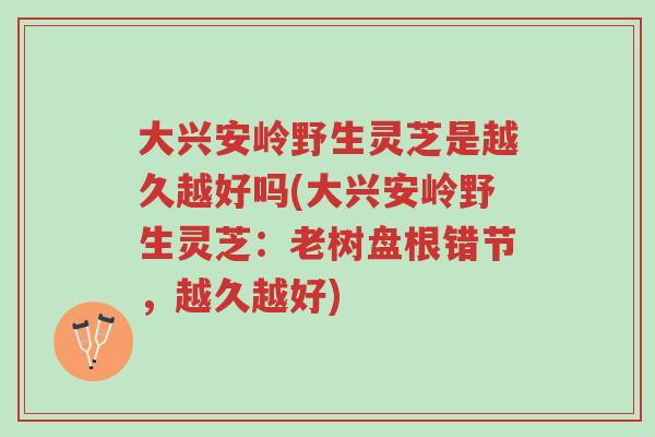 大兴安岭野生灵芝是越久越好吗(大兴安岭野生灵芝:老树盘根错节,越久越好)-第1张图片-超越 大兴安岭野生灵芝是越久越好吗(大兴安岭野生灵芝:老树盘根错节,越久越好)-第1张图片-超越