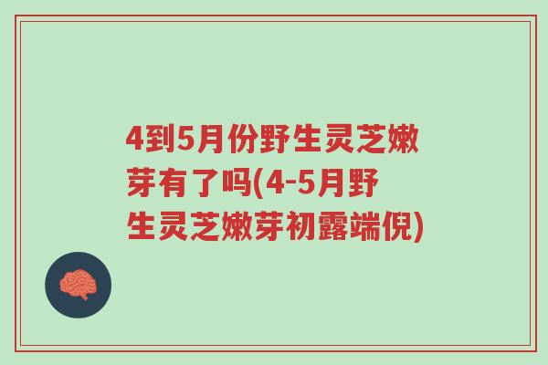 4到5月份野生灵芝嫩芽有了吗(4-5月野生灵芝嫩芽初露端倪)-第1张图片-超越 4到5月份野生灵芝嫩芽有了吗(4-5月野生灵芝嫩芽初露端倪)-第1张图片-超越