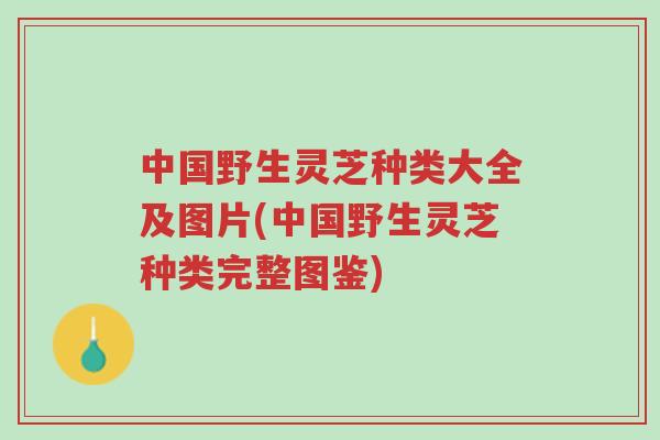 中国野生灵芝种类大全及图片(中国野生灵芝种类完整图鉴)-第1张图片-超越 中国野生灵芝种类大全及图片(中国野生灵芝种类完整图鉴)-第1张图片-超越