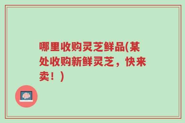 哪里收购灵芝鲜品(某处收购新鲜灵芝,快来卖!)-第1张图片-超越 哪里收购灵芝鲜品(某处收购新鲜灵芝,快来卖!)-第1张图片-超越
