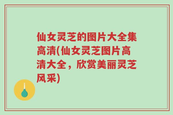 仙女灵芝的图片大全集高清(仙女灵芝图片高清大全,欣赏美丽灵芝风采)-第1张图片-超越 仙女灵芝的图片大全集高清(仙女灵芝图片高清大全,欣赏美丽灵芝风采)-第1张图片-超越