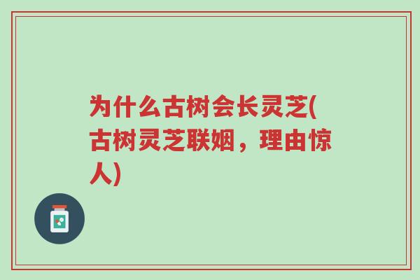 为什么古树会长灵芝(古树灵芝联姻,理由惊人)-第1张图片-超越 为什么古树会长灵芝(古树灵芝联姻,理由惊人)-第1张图片-超越