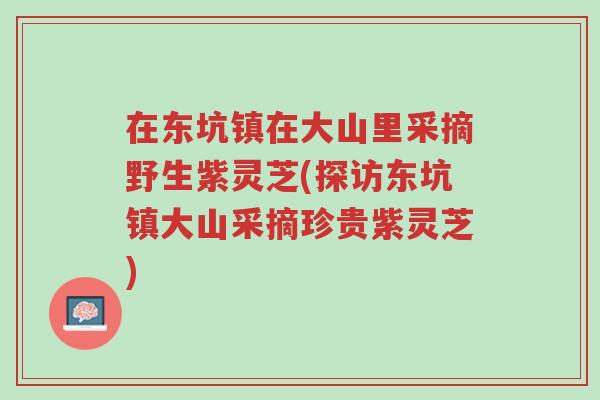 在东坑镇在大山里采摘野生紫灵芝(探访东坑镇大山采摘珍贵紫灵芝)-第1张图片-超越 在东坑镇在大山里采摘野生紫灵芝(探访东坑镇大山采摘珍贵紫灵芝)-第1张图片-超越