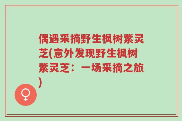 偶遇采摘野生枫树紫灵芝(意外发现野生枫树紫灵芝:一场采摘之旅)-第1张图片-超越 偶遇采摘野生枫树紫灵芝(意外发现野生枫树紫灵芝:一场采摘之旅)-第1张图片-超越