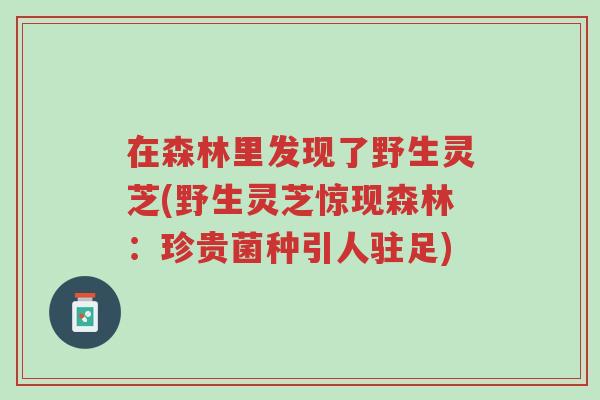 在森林里发现了野生灵芝(野生灵芝惊现森林:珍贵菌种引人驻足)-第1张图片-超越 在森林里发现了野生灵芝(野生灵芝惊现森林:珍贵菌种引人驻足)-第1张图片-超越