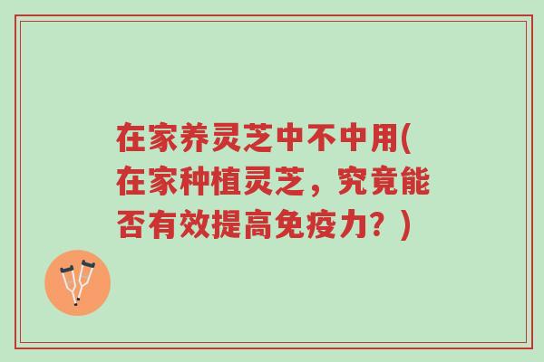 在家养灵芝中不中用(在家种植灵芝,究竟能否有效提高免疫力?)-第1张图片-超越 在家养灵芝中不中用(在家种植灵芝,究竟能否有效提高免疫力?)-第1张图片-超越