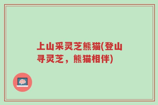 上山采灵芝熊猫(登山寻灵芝，熊猫相伴)-第1张图片-超越