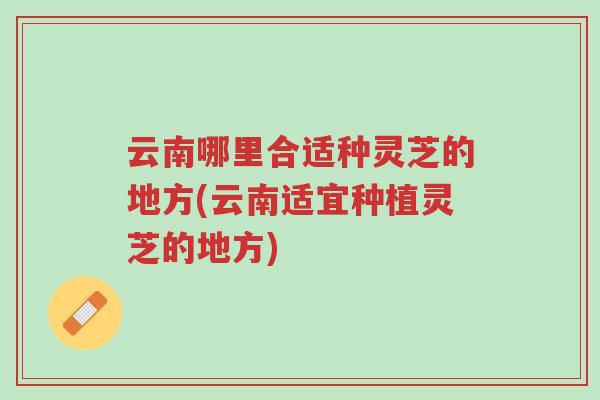 云南哪里合适种灵芝的地方(云南适宜种植灵芝的地方)-第1张图片-超越 云南哪里合适种灵芝的地方(云南适宜种植灵芝的地方)-第1张图片-超越