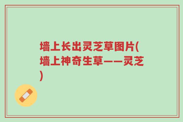 墙上长出灵芝草图片(墙上神奇生草——灵芝)-第1张图片-超越 墙上长出灵芝草图片(墙上神奇生草——灵芝)-第1张图片-超越
