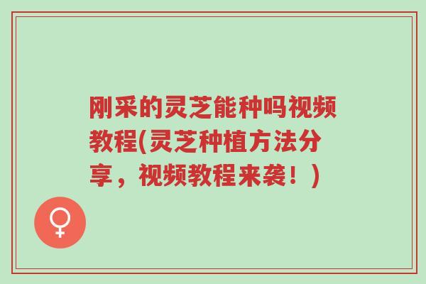 刚采的灵芝能种吗视频教程(灵芝种植方法分享,视频教程来袭!)-第1张图片-超越 刚采的灵芝能种吗视频教程(灵芝种植方法分享,视频教程来袭!)-第1张图片-超越