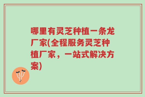哪里有灵芝种植一条龙厂家(全程服务灵芝种植厂家,一站式解决方案)-第1张图片-超越 哪里有灵芝种植一条龙厂家(全程服务灵芝种植厂家,一站式解决方案)-第1张图片-超越