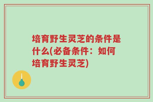 培育野生灵芝的条件是什么(必备条件:如何培育野生灵芝)-第1张图片-超越 培育野生灵芝的条件是什么(必备条件:如何培育野生灵芝)-第1张图片-超越