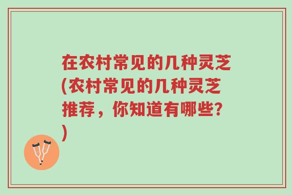 在农村常见的几种灵芝(农村常见的几种灵芝推荐,你知道有哪些?)-第1张图片-超越 在农村常见的几种灵芝(农村常见的几种灵芝推荐,你知道有哪些?)-第1张图片-超越