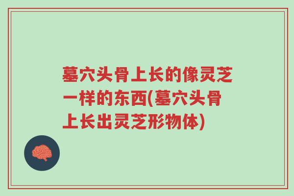 墓穴头骨上长的像灵芝一样的东西(墓穴头骨上长出灵芝形物体)-第1张图片-超越 墓穴头骨上长的像灵芝一样的东西(墓穴头骨上长出灵芝形物体)-第1张图片-超越
