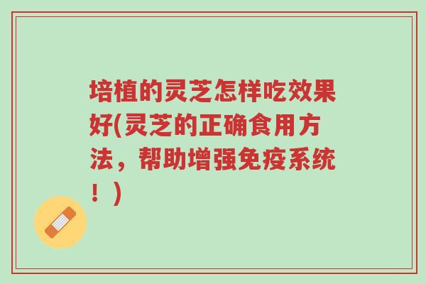 培植的灵芝怎样吃效果好(灵芝的正确食用方法,帮助增强免疫系统!)-第1张图片-超越 培植的灵芝怎样吃效果好(灵芝的正确食用方法,帮助增强免疫系统!)-第1张图片-超越
