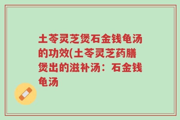 土苓灵芝煲石金钱龟汤的功效(土苓灵芝药膳煲出的滋补汤:石金钱龟汤-第1张图片-超越 土苓灵芝煲石金钱龟汤的功效(土苓灵芝药膳煲出的滋补汤:石金钱龟汤-第1张图片-超越