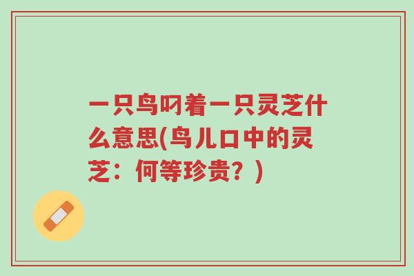 一只鸟叼着一只灵芝什么意思(鸟儿口中的灵芝:何等珍贵?)-第1张图片-超越 一只鸟叼着一只灵芝什么意思(鸟儿口中的灵芝:何等珍贵?)-第1张图片-超越
