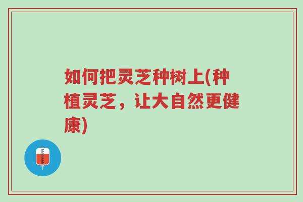 如何把灵芝种树上(种植灵芝,让大自然更健康)-第1张图片-超越 如何把灵芝种树上(种植灵芝,让大自然更健康)-第1张图片-超越