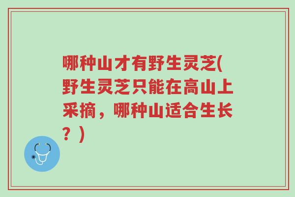哪种山才有野生灵芝(野生灵芝只能在高山上采摘，哪种山适合生长？)-第1张图片-超越