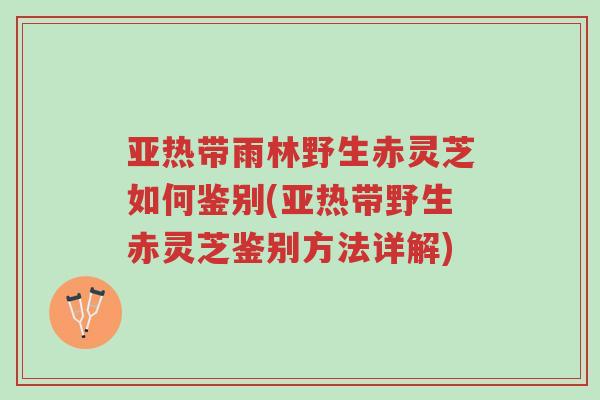 亚热带雨林野生赤灵芝如何鉴别(亚热带野生赤灵芝鉴别方法详解)-第1张图片-超越 亚热带雨林野生赤灵芝如何鉴别(亚热带野生赤灵芝鉴别方法详解)-第1张图片-超越