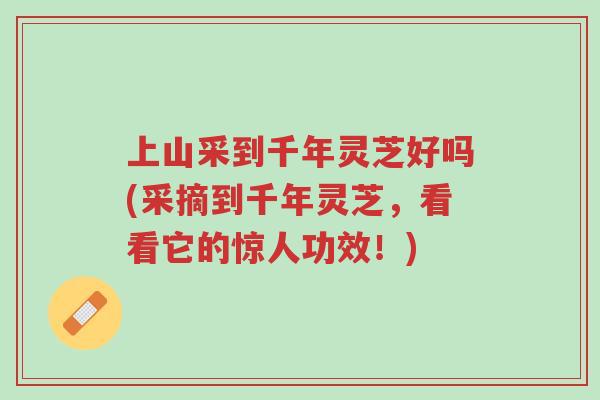 上山采到千年灵芝好吗(采摘到千年灵芝,看看它的惊人功效!)-第1张图片-超越 上山采到千年灵芝好吗(采摘到千年灵芝,看看它的惊人功效!)-第1张图片-超越