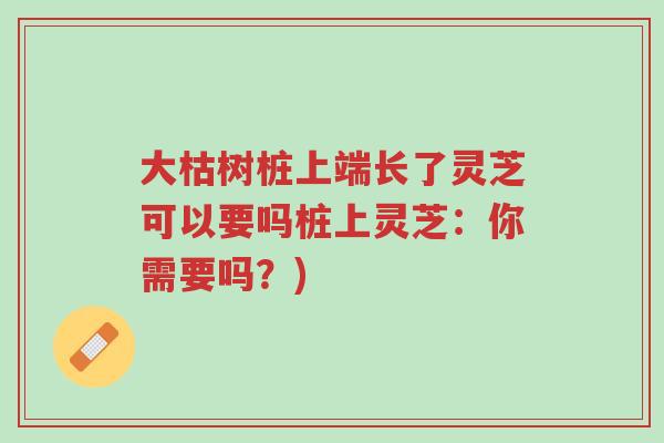 大枯树桩上端长了灵芝可以要吗桩上灵芝:你需要吗?)-第1张图片-超越 大枯树桩上端长了灵芝可以要吗桩上灵芝:你需要吗?)-第1张图片-超越
