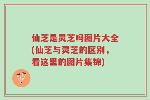 仙芝是灵芝吗图片大全(仙芝与灵芝的区别，看这里的图片集锦)-第1张图片-超越