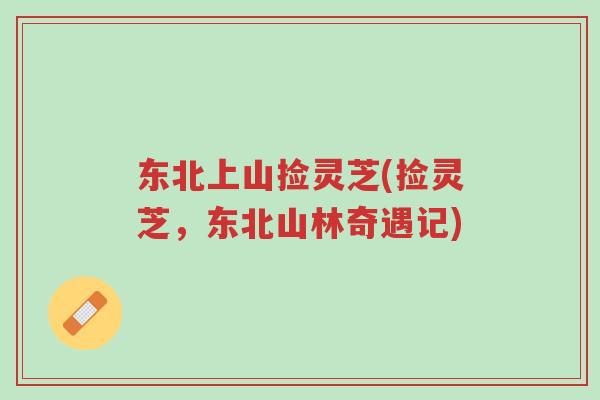 东北上山捡灵芝(捡灵芝,东北山林奇遇记)-第1张图片-超越 东北上山捡灵芝(捡灵芝,东北山林奇遇记)-第1张图片-超越