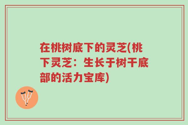 在桃树底下的灵芝(桃下灵芝:生长于树干底部的活力宝库)-第1张图片-超越 在桃树底下的灵芝(桃下灵芝:生长于树干底部的活力宝库)-第1张图片-超越