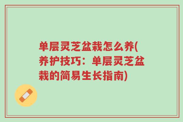 单层灵芝盆栽怎么养(养护技巧:单层灵芝盆栽的简易生长指南)-第1张图片-超越 单层灵芝盆栽怎么养(养护技巧:单层灵芝盆栽的简易生长指南)-第1张图片-超越