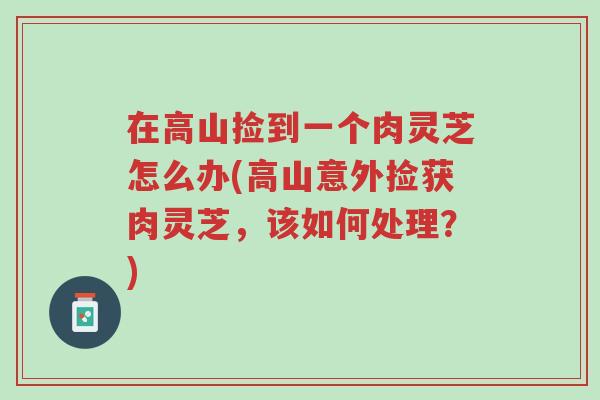 在高山捡到一个肉灵芝怎么办(高山意外捡获肉灵芝，该如何处理？)-第1张图片-超越
