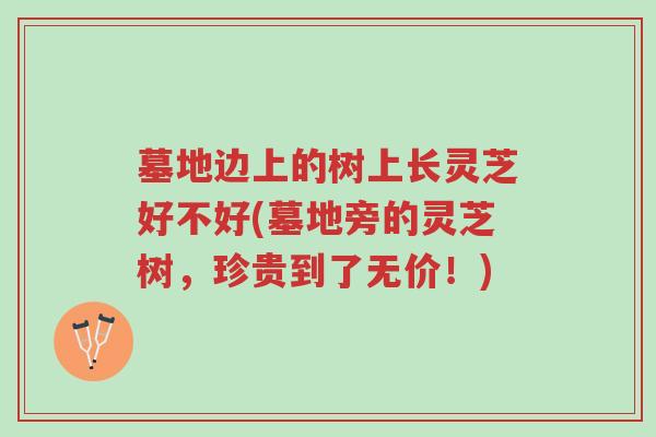 墓地边上的树上长灵芝好不好(墓地旁的灵芝树,珍贵到了无价!)-第1张图片-超越 墓地边上的树上长灵芝好不好(墓地旁的灵芝树,珍贵到了无价!)-第1张图片-超越