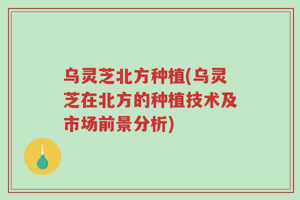 乌灵芝北方种植(乌灵芝在北方的种植技术及市场前景分析)-第1张图片-超越 乌灵芝北方种植(乌灵芝在北方的种植技术及市场前景分析)-第1张图片-超越