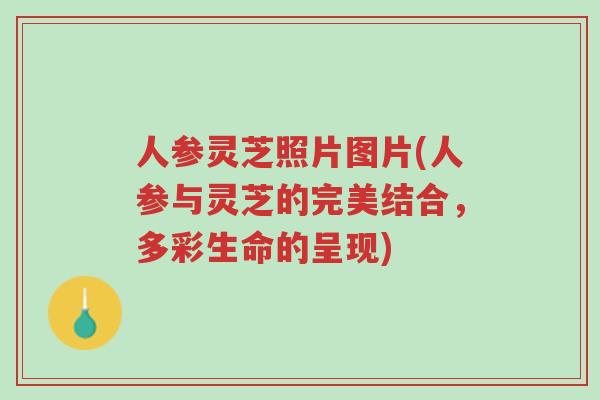 人参灵芝照片图片(人参与灵芝的完美结合,多彩生命的呈现)-第1张图片-超越 人参灵芝照片图片(人参与灵芝的完美结合,多彩生命的呈现)-第1张图片-超越