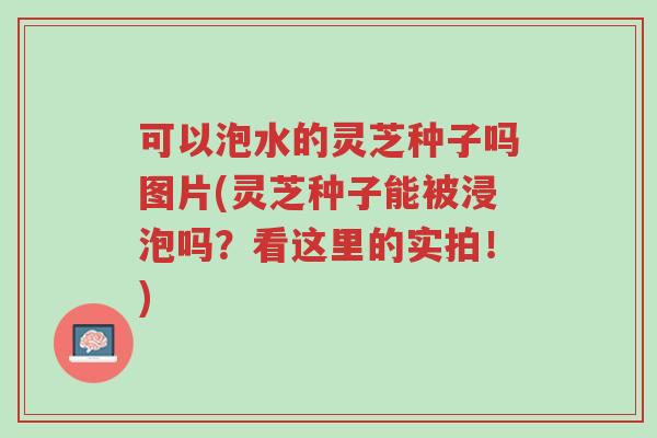 可以泡水的灵芝种子吗图片(灵芝种子能被浸泡吗?看这里的实拍!)-第1张图片-超越 可以泡水的灵芝种子吗图片(灵芝种子能被浸泡吗?看这里的实拍!)-第1张图片-超越