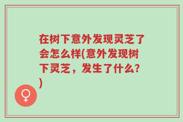 在树下意外发现灵芝了会怎么样(意外发现树下灵芝,发生了什么?)-第1张图片-超越 在树下意外发现灵芝了会怎么样(意外发现树下灵芝,发生了什么?)-第1张图片-超越